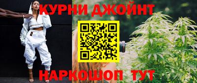 ешки Кингисепп