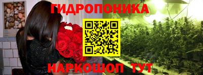 индика Конаково
