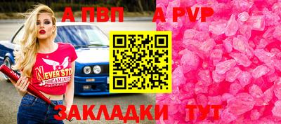 ешки Кингисепп