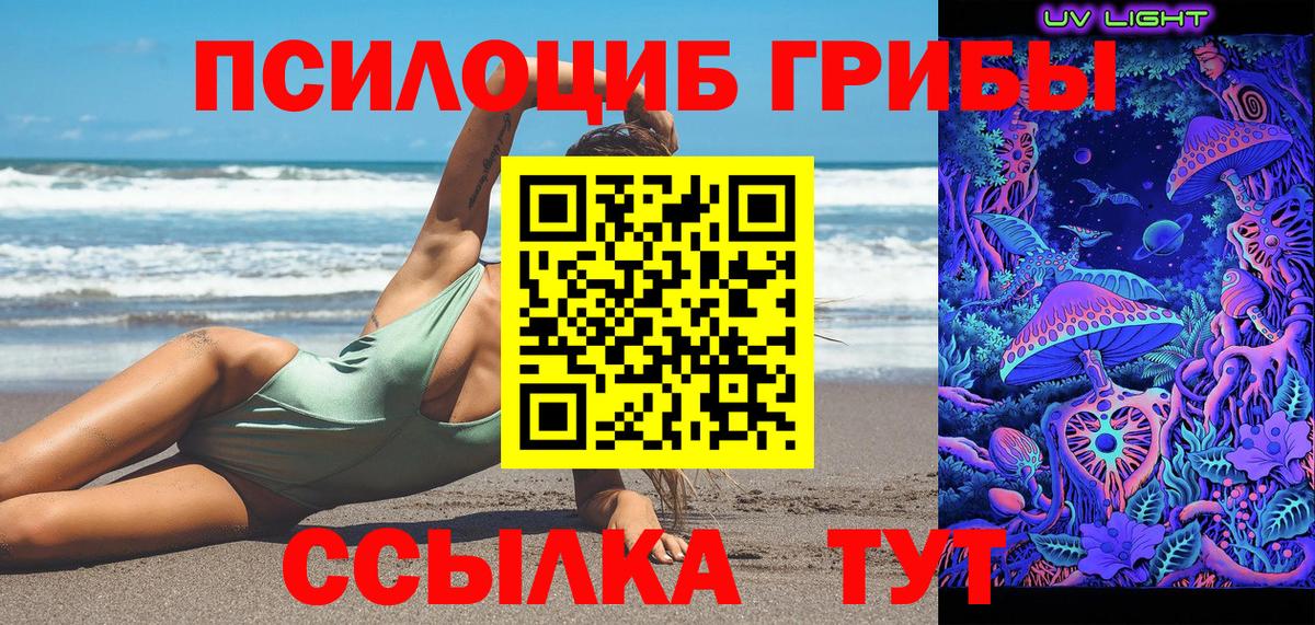 Псилоцибиновые грибы Psilocybine cubensis Кизляр