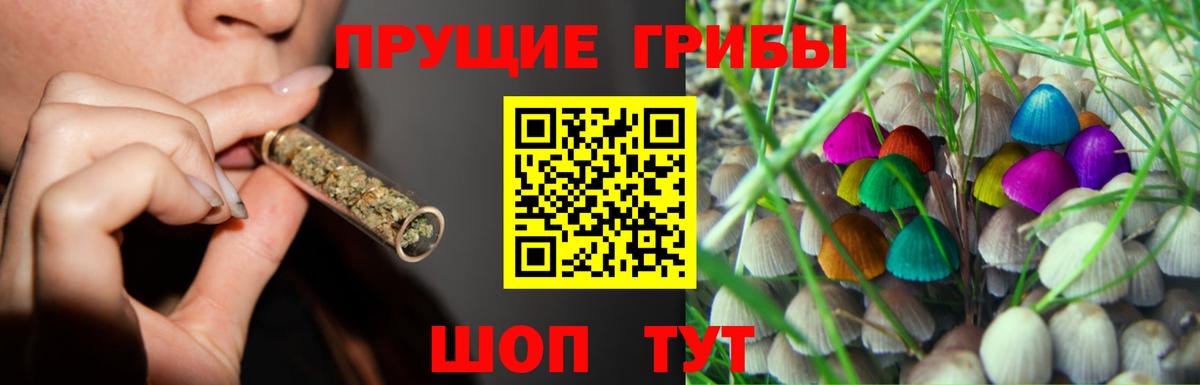 Галлюциногенные грибы Psilocybine cubensis  Вход с VPN  Кизляр 